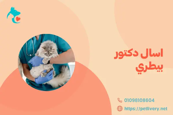 اسال دكتور بيطري