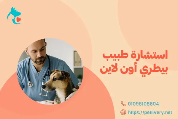 استشارة طبيب بيطري أون لاين