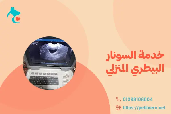 خدمة السونار البيطري المنزلي