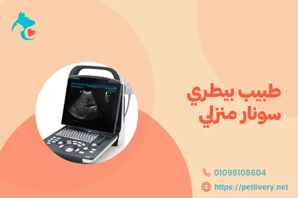 طبيب بيطري سونار منزلي