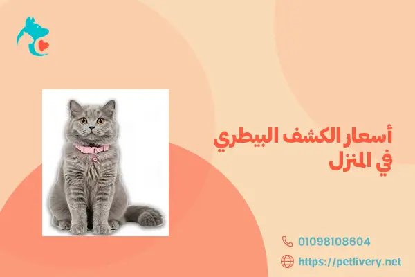 أسعار الكشف البيطري في المنزل