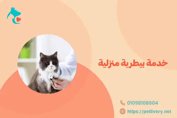 خدمة بيطرية منزلية