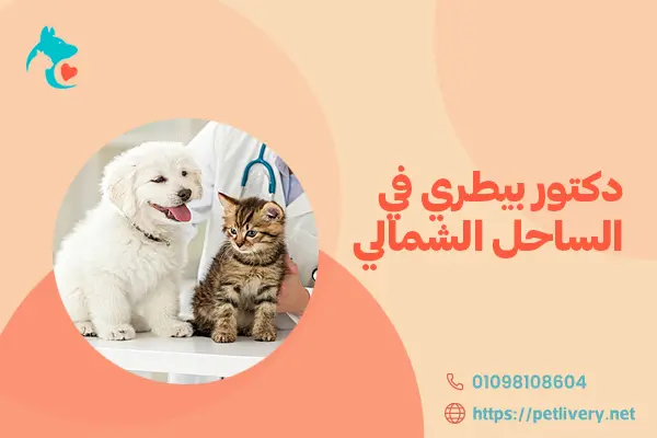 دكتور بيطري في الساحل الشمالي