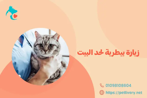 زيارة بيطرية لحد البيت