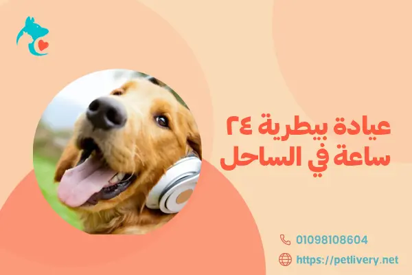 عيادة بيطرية 24 ساعة في الساحل