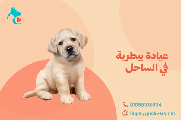 عيادة بيطرية في الساحل