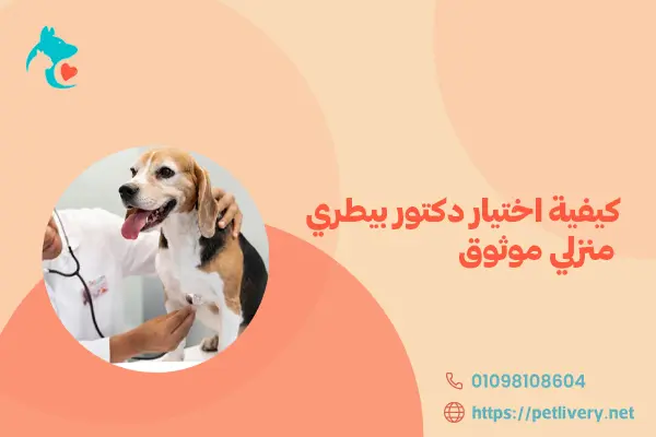 كيفية اختيار دكتور بيطري منزلي موثوق