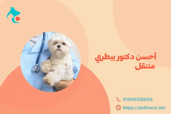 أحسن دكتور بيطري متنقل