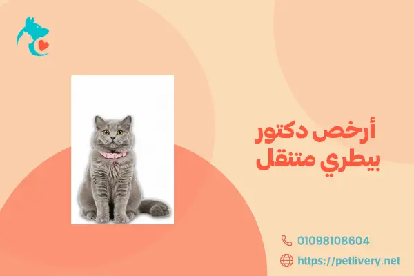 أرخص دكتور بيطري متنقل
