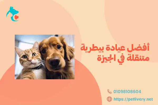 أفضل عيادة بيطرية متنقلة في الجيزة