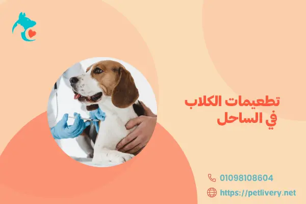 تطعيمات الكلاب في الساحل