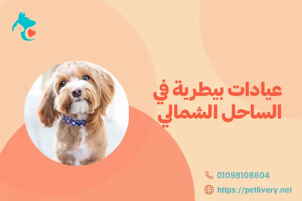 عيادات بيطرية في الساحل الشمالي