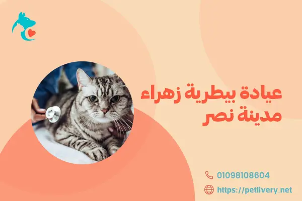 عيادة بيطرية زهراء مدينة نصر