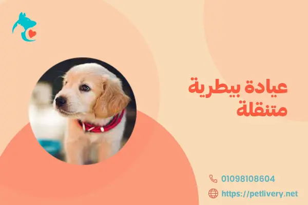 عيادة بيطرية متنقلة