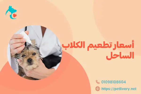 أسعار تطعيم الكلاب في الساحل