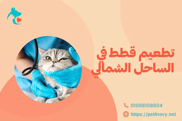 تطعيم قطط في الساحل الشمالي