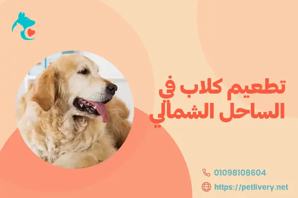 تطعيم كلاب في الساحل الشمالي