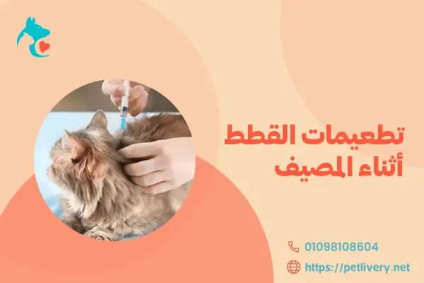 تطعيمات القطط أثناء المصيف