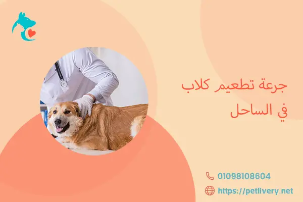 جرعة تطعيم كلاب في الساحل