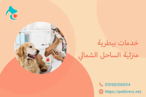 خدمات بيطرية منزلية الساحل الشمالي