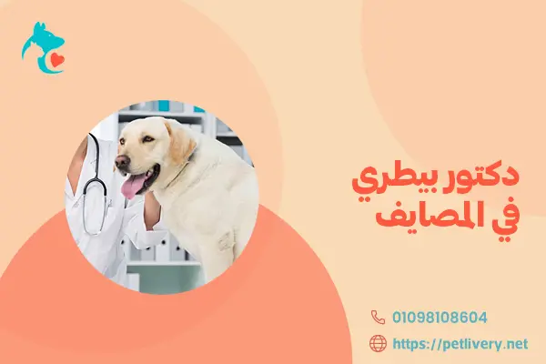 دكتور بيطري في المصايف