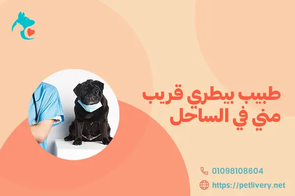 طبيب بيطري قريب مني في الساحل