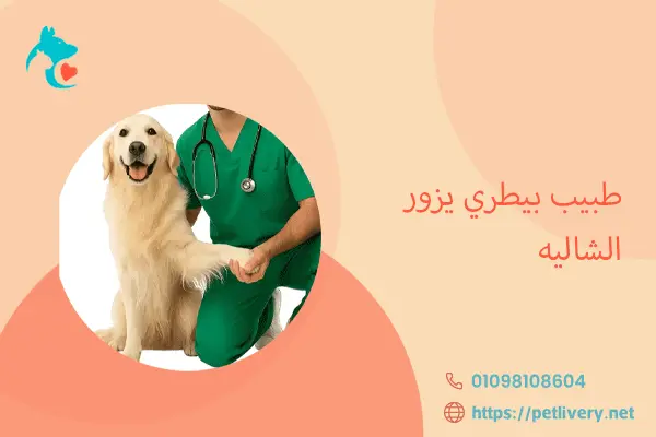 طبيب بيطري يزور الشاليه