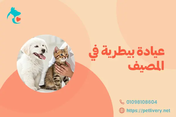 عيادة بيطرية في المصيف