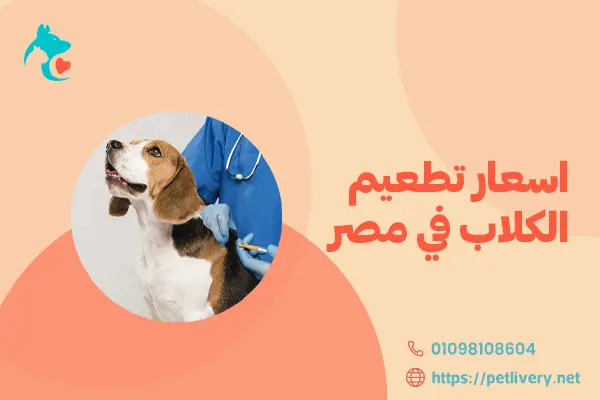 اسعار تطعيم الكلاب في مصر