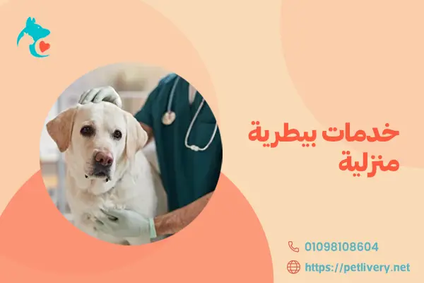 خدمات بيطرية منزلية
