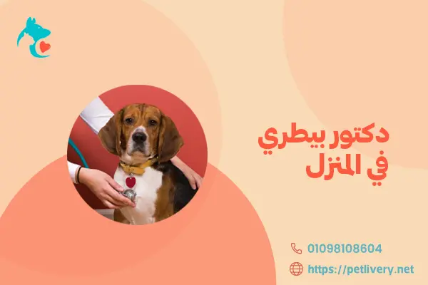 دكتور بيطري في المنزل