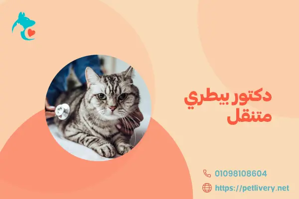 دكتور بيطري متنقل