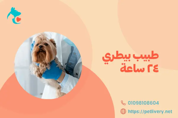 طبيب بيطري 24 ساعة