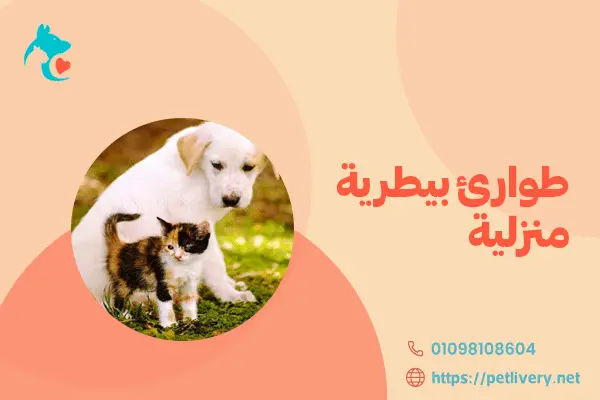 طوارئ بيطرية منزلية