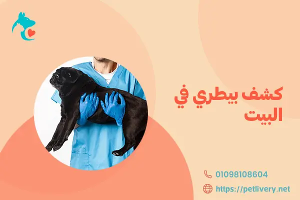 كشف بيطري في البيت