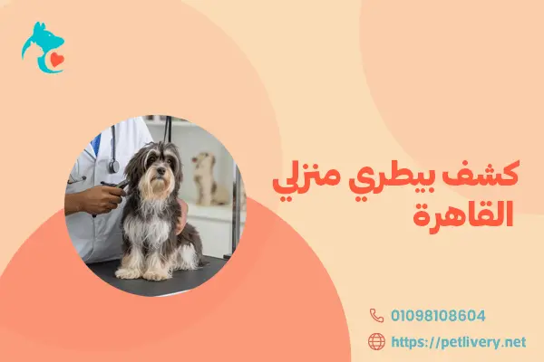 كشف بيطري منزلي القاهرة