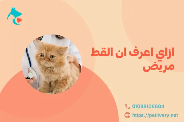 ازاي اعرف ان القط مريض