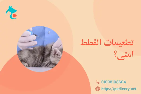 تطعيمات القطط امتى