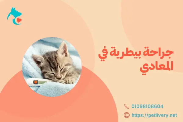 جراحة بيطرية في المعادي