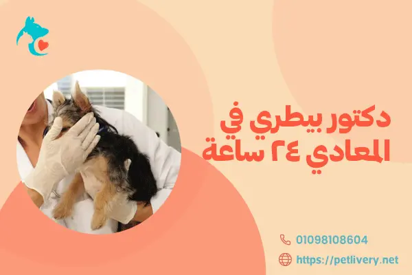 دكتور بيطري في المعادي 24 ساعة