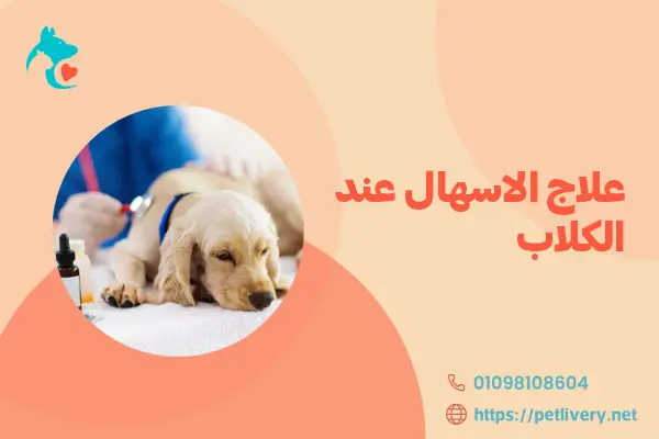علاج الاسهال عند الكلاب