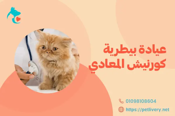 عيادة بيطرية كورنيش المعادي