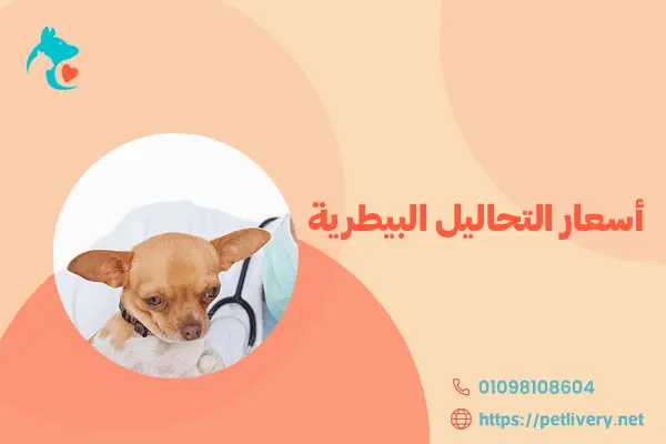 أسعار التحاليل البيطرية