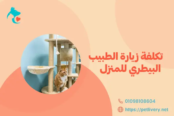 تكلفة زيارة الطبيب البيطري للمنزل