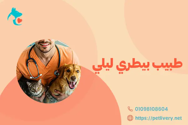 طبيب بيطري ليلي