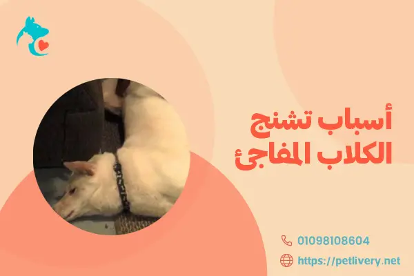 أسباب تشنج الكلاب المفاجئ