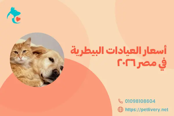 أسعار العيادات البيطرية في مصر 2026
