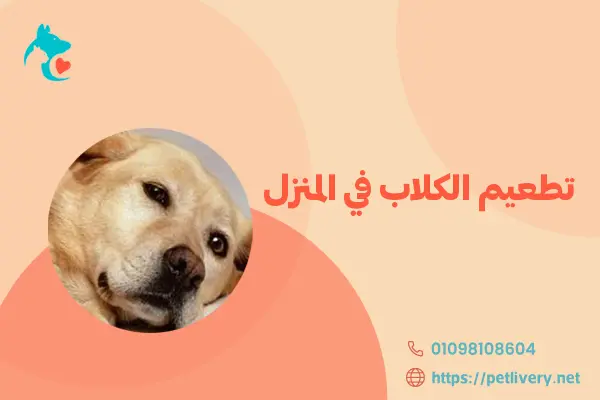 تطعيم الكلاب في المنزل
