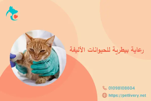 رعاية بيطرية للحيوانات الأليفة