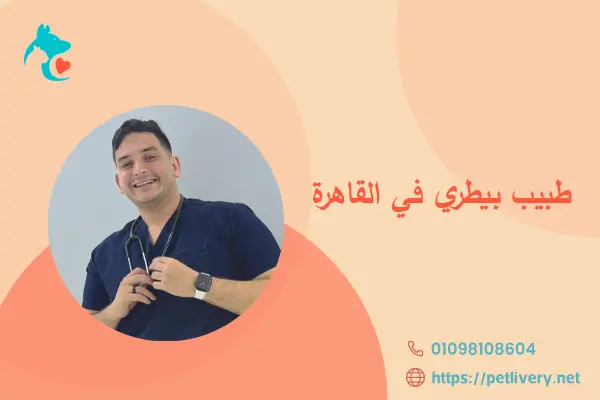 طبيب بيطري في القاهرة